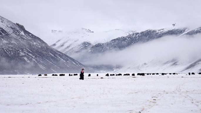 三江源青海玉树巴塘草原雪山云雾