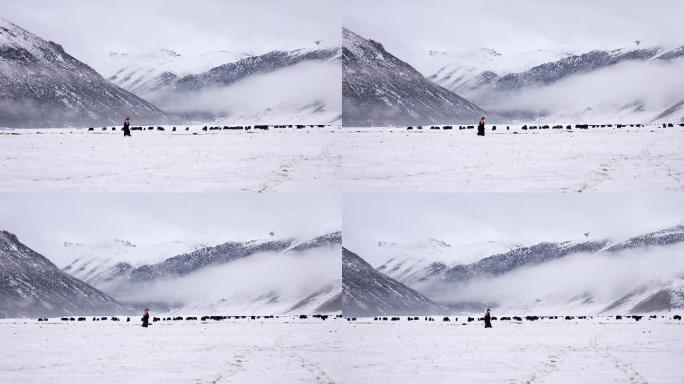 三江源青海玉树巴塘草原雪山云雾