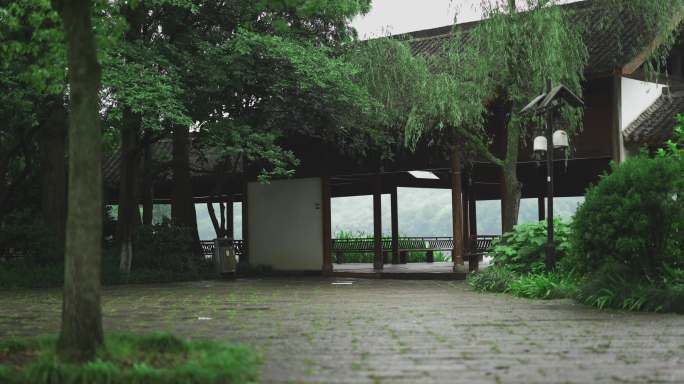 雨季杭州西湖绿植特写小景