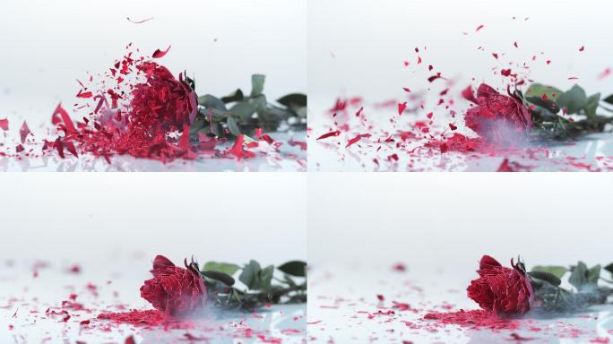 冻僵的红玫瑰掉了下来，成了碎片