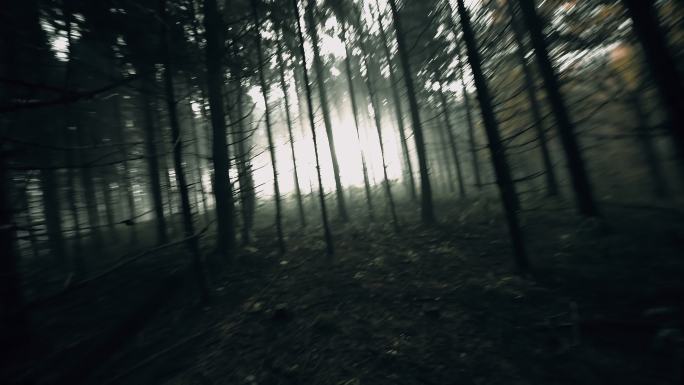 在森林里拼命逃跑的人