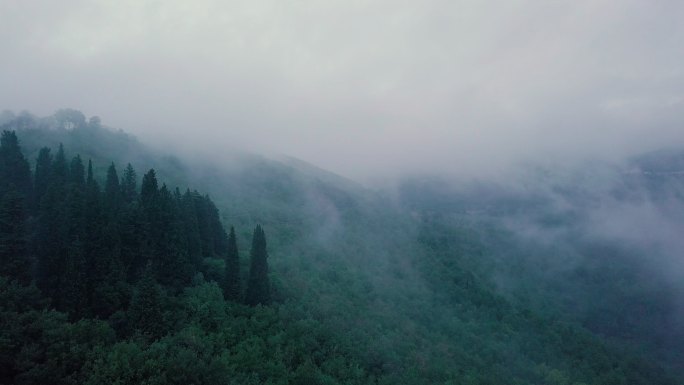 森林群山峻岭山林迷雾瘴气雾气