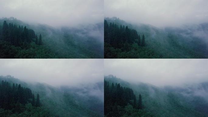 森林群山峻岭山林迷雾瘴气雾气