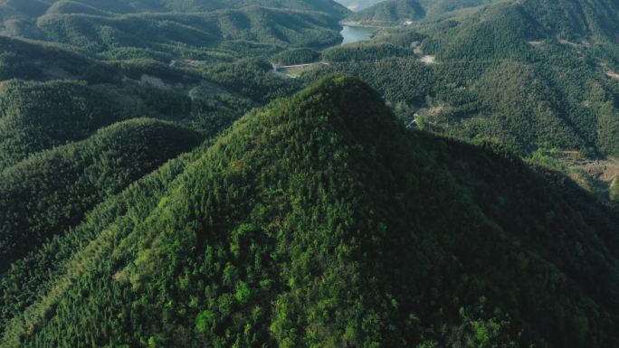 萍乡上栗县杨岐山