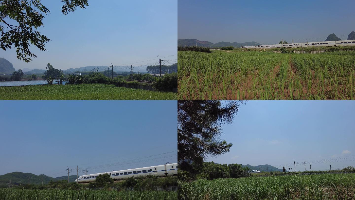 中国铁路高铁行驶铁路列车动车