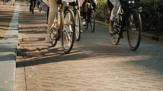 骑自行车的人群年轻人户外运动健康生活骑行
