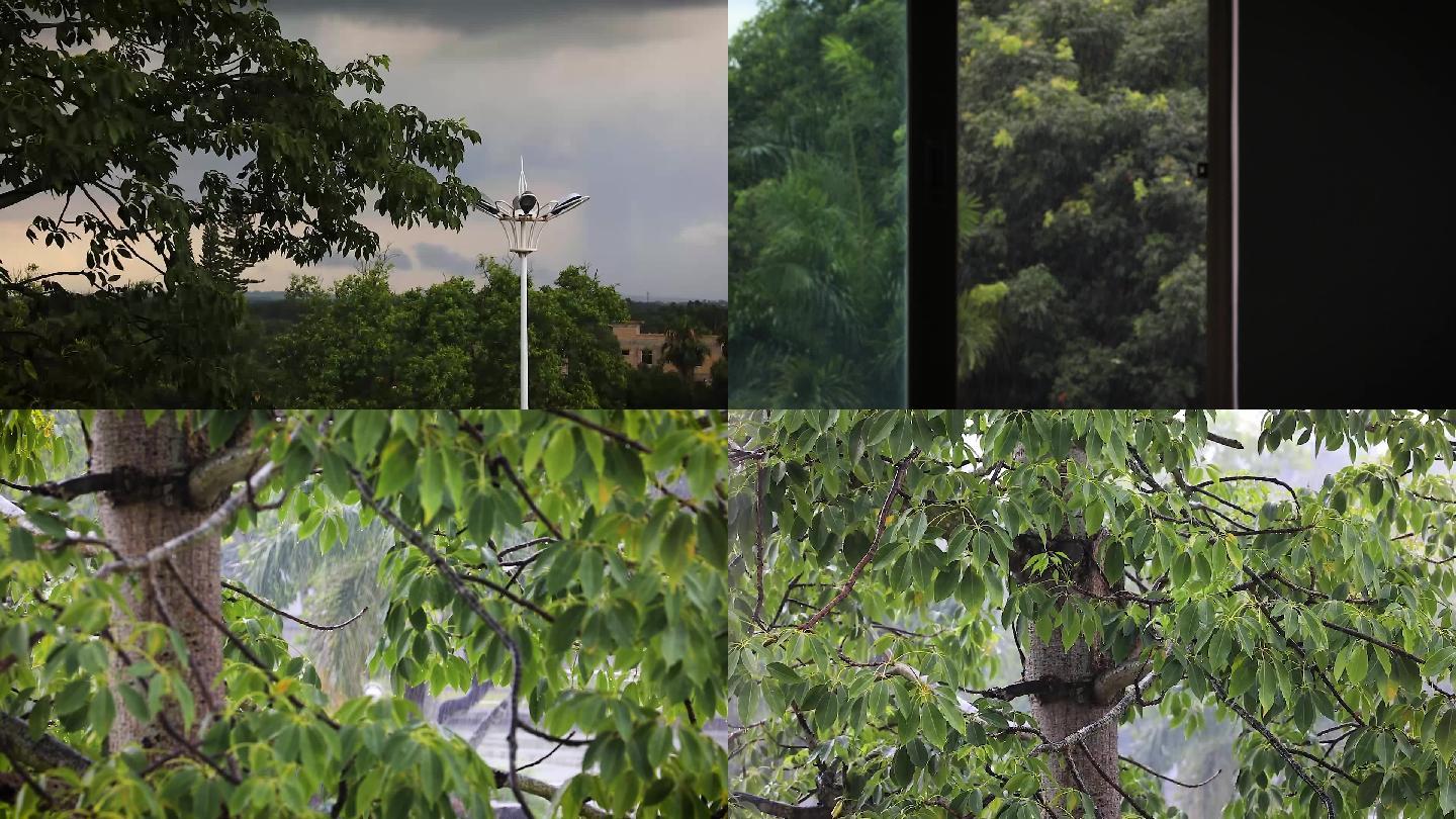 夏天雨季窗外实拍下雨天