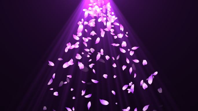 紫色下落扩散粒子花瓣4k