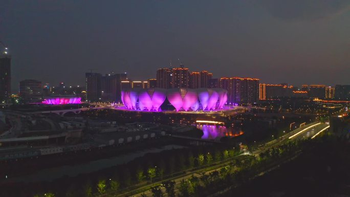 杭州奥体中心体育场莲花碗