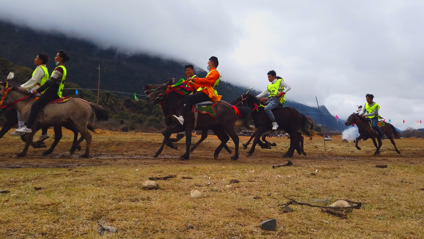 西藏波密藏族赛马会