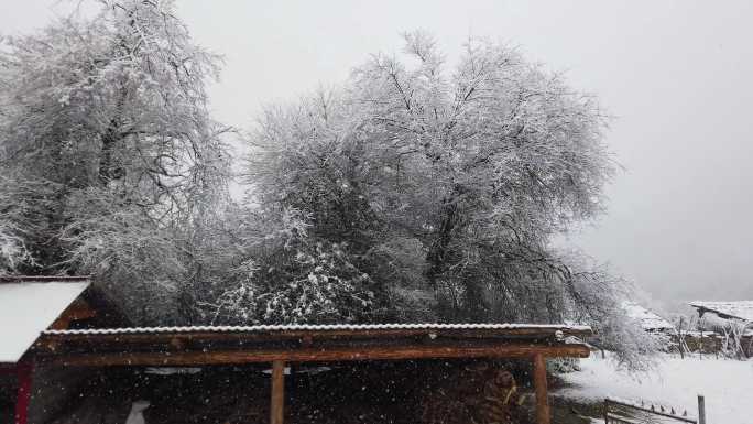 西藏林芝波密县乡村雪景之一