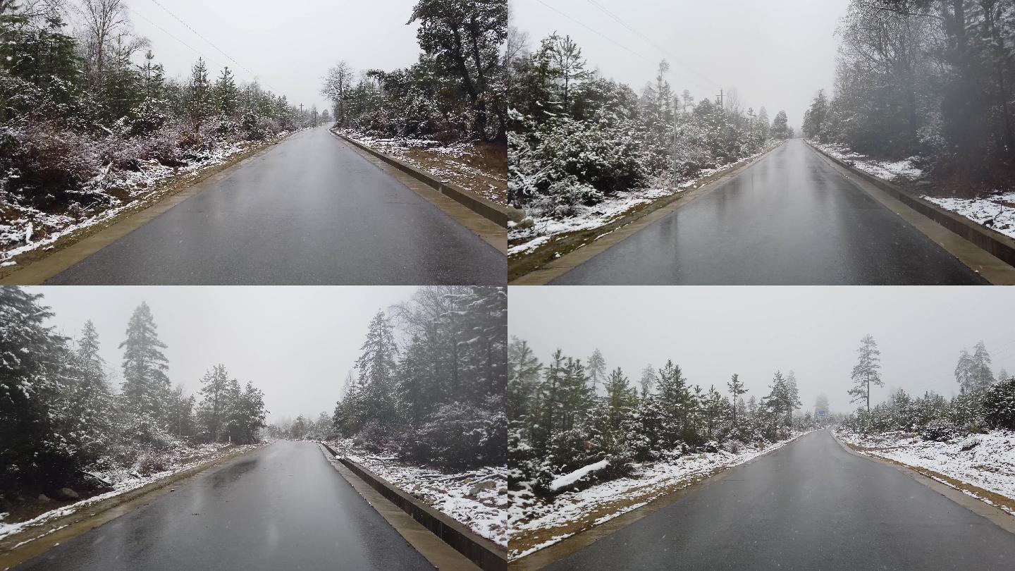 西藏林芝林间小道飞雪二