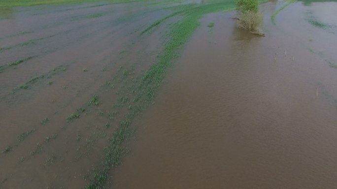 驾驶无人机飞越被洪水淹没的农田