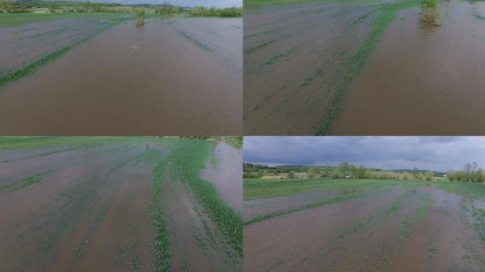 驾驶无人机飞越被洪水淹没的农田