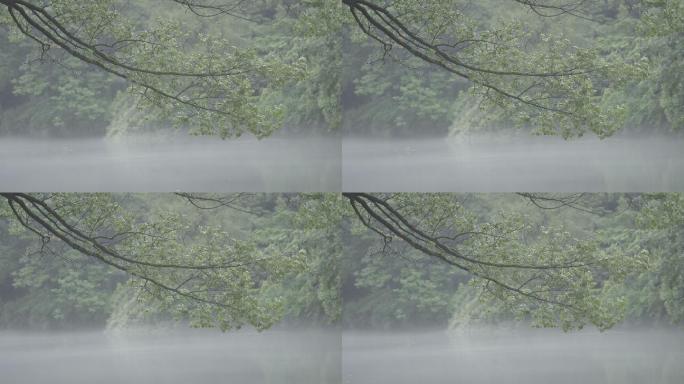 水面升起薄雾唯美画面原素材