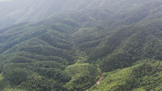 4K云居山云海和真如禅寺