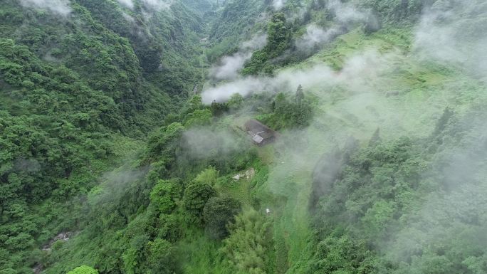 金佛山，云雾美景下的农家院子，悠闲生活