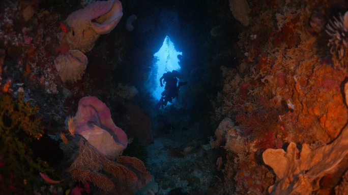 珊瑚海绵水下洞穴