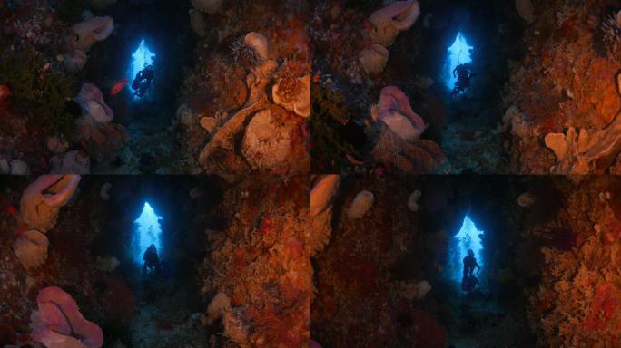 珊瑚海绵水下洞穴