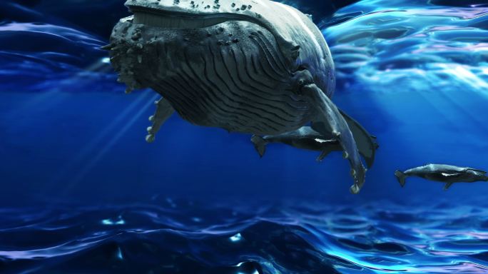 海底世界仙境鲸鱼鲲