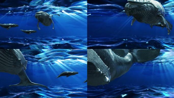 海底世界仙境鲸鱼鲲