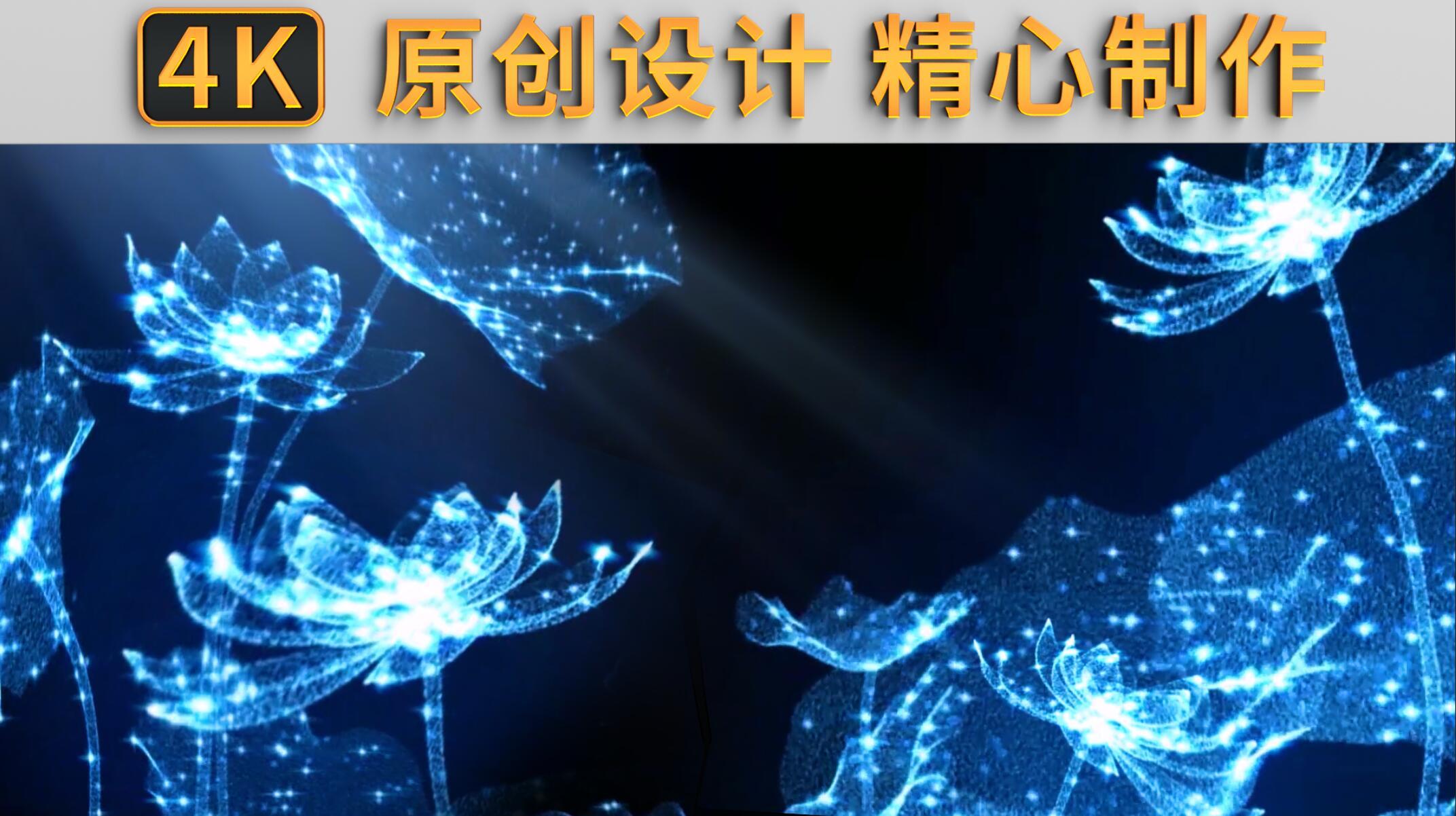 梦幻唯美荷花莲花【4K】