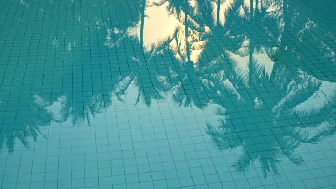椰子树的影子映照在游泳池上