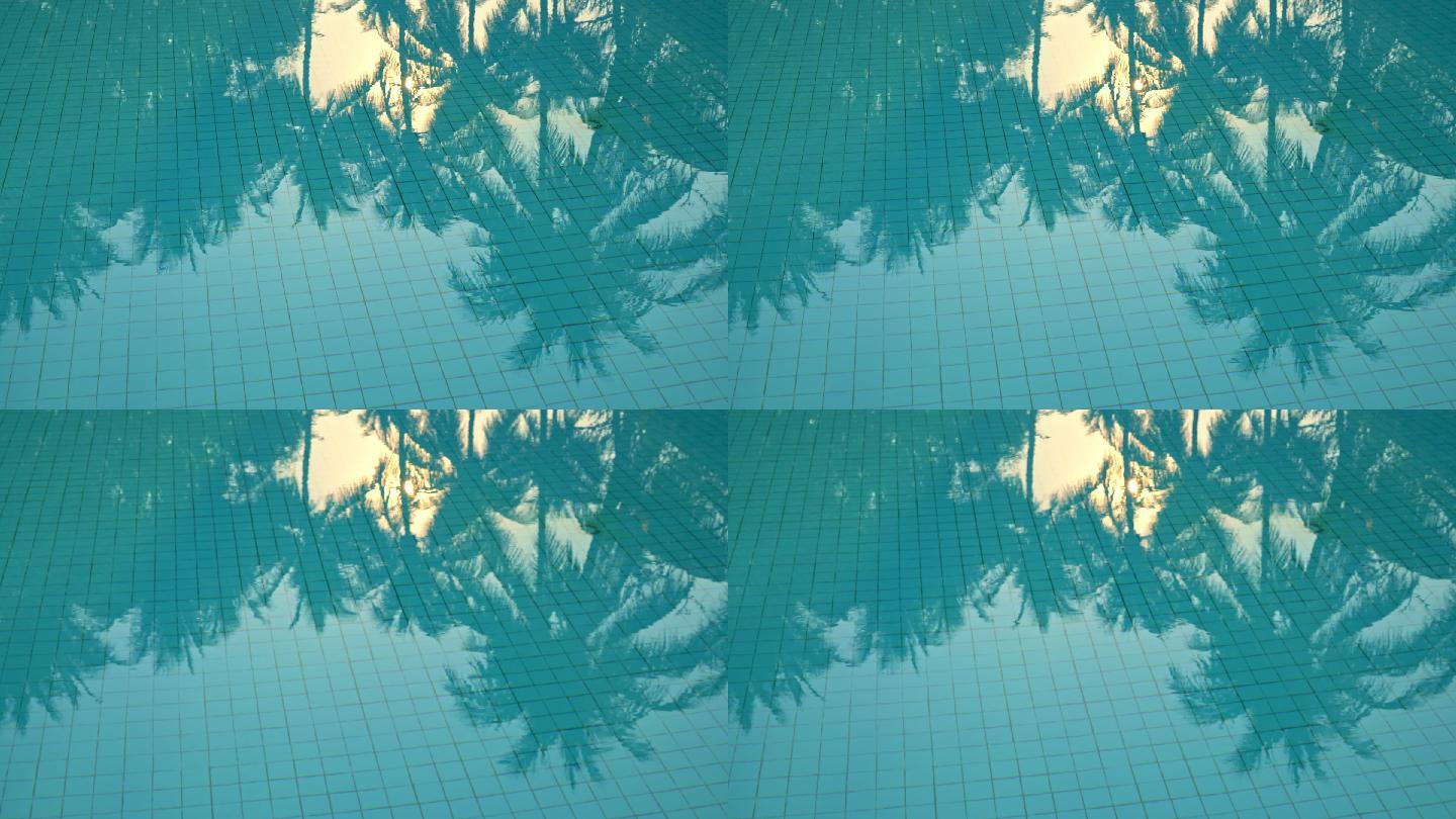 椰子树的影子映照在游泳池上
