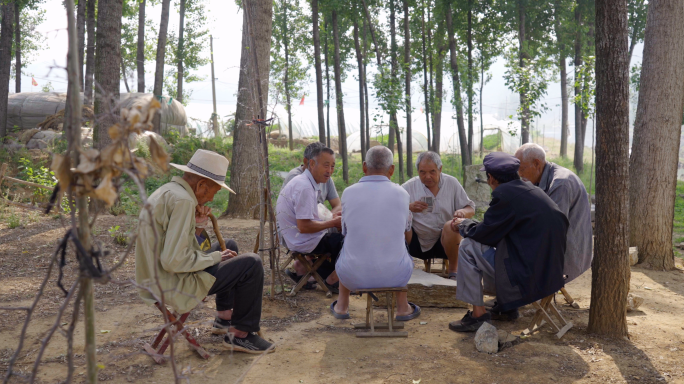 4K农村一群老人围在一起打扑克 农村老人