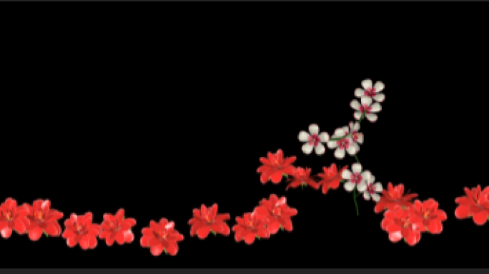 4K横屏投影花朵生长