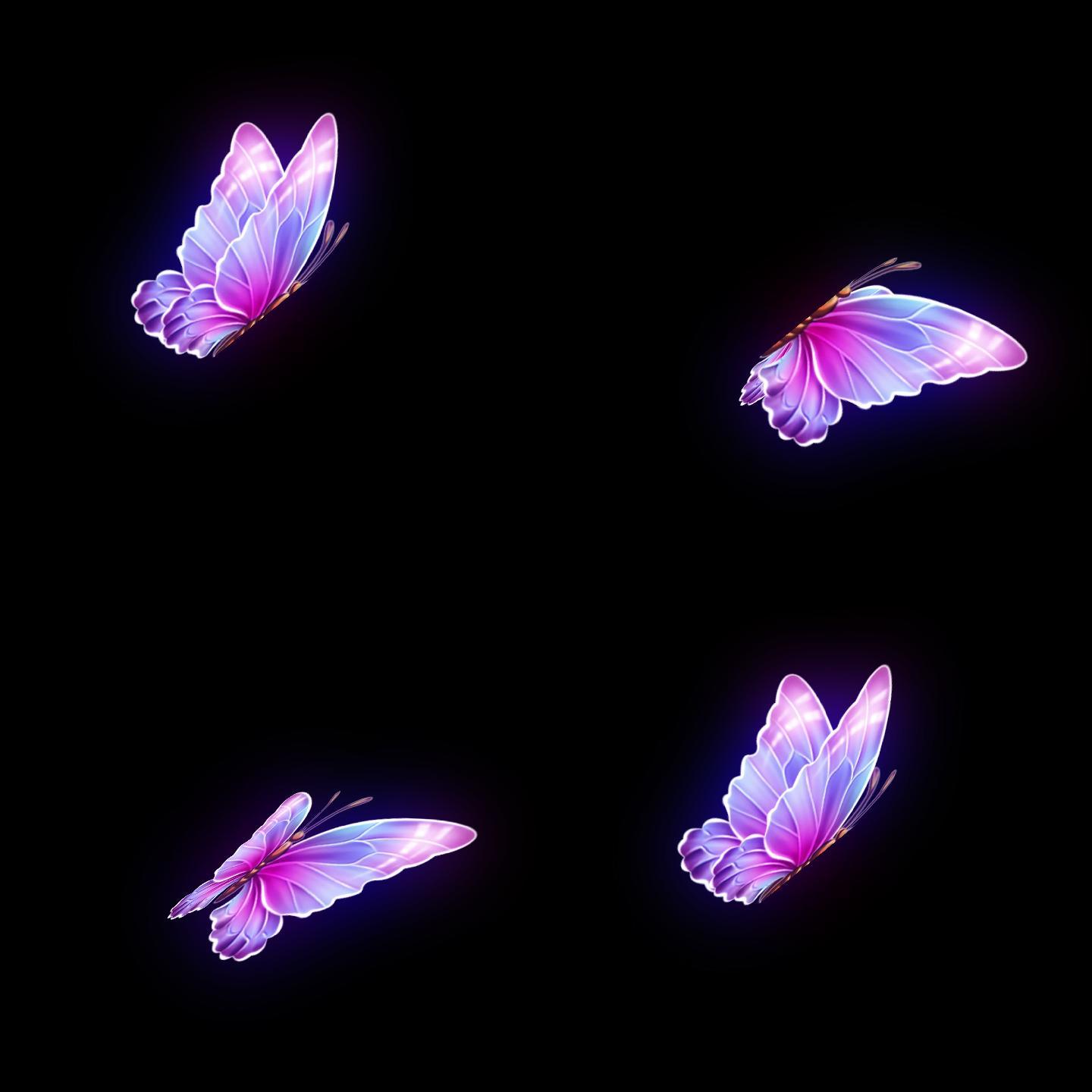 昆虫蝴蝶素材单个蝴蝶
