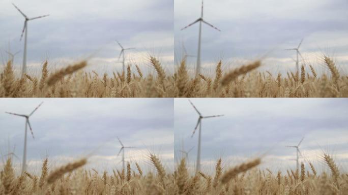 风力发电场