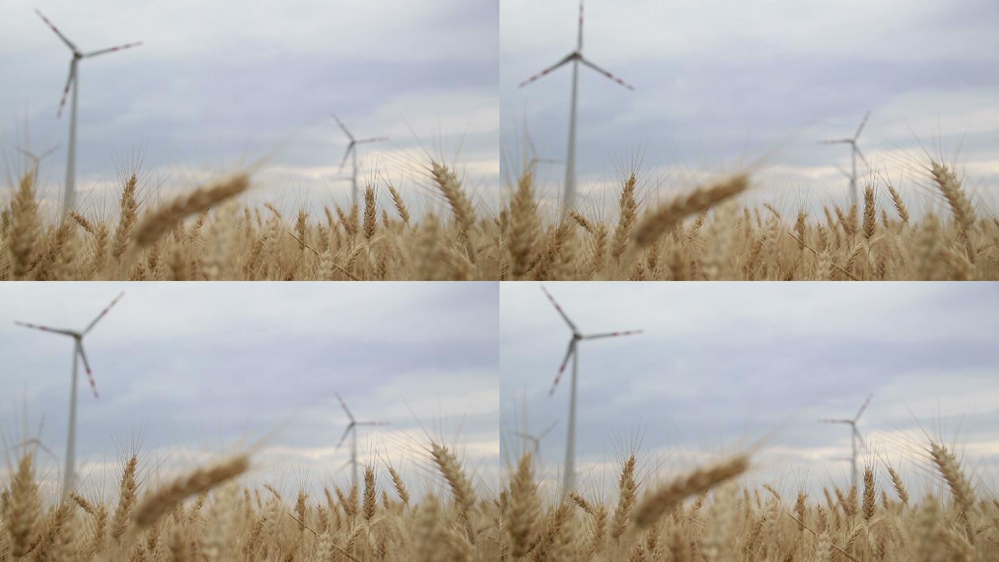 风力发电场