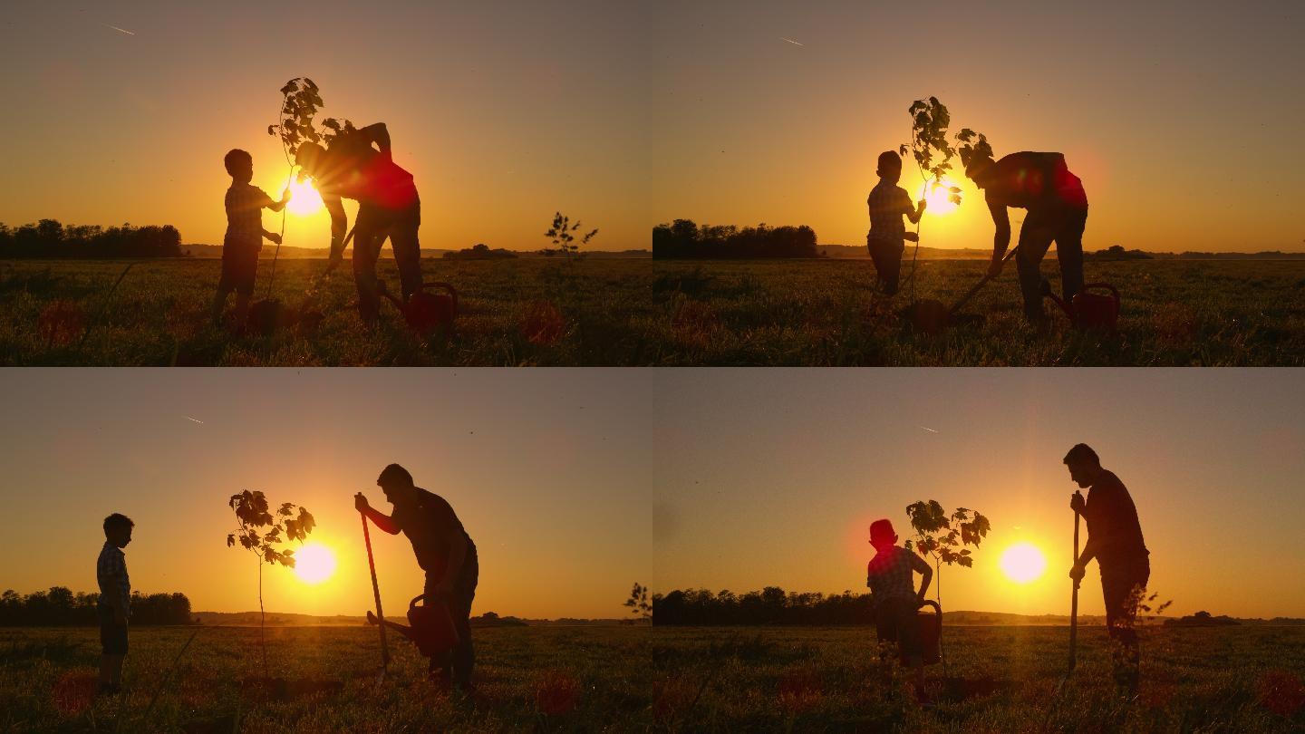 父亲和儿子在田里种树