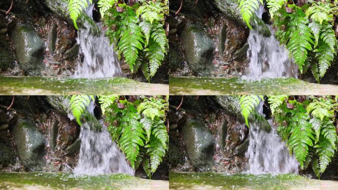 青苔天然山泉水地下水矿泉水素材