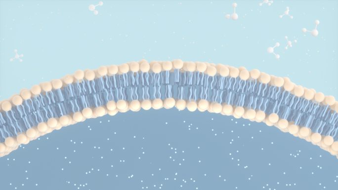 细胞膜与分子结构3D渲染