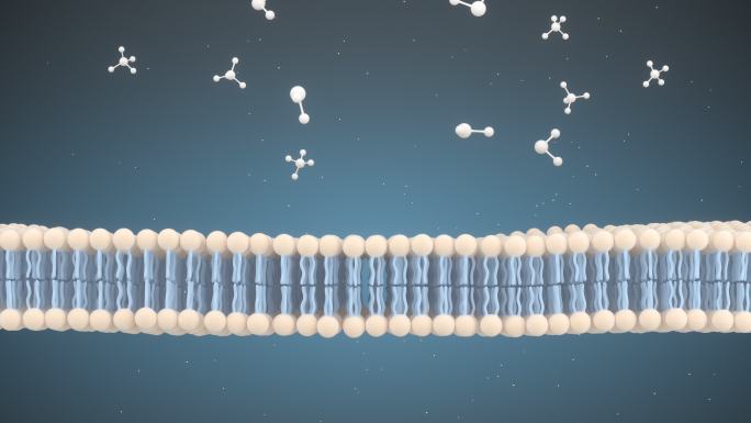 细胞膜与分子结构3D渲染