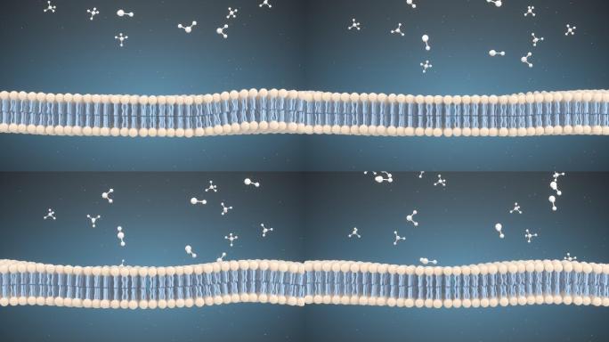 细胞膜与分子结构3D渲染