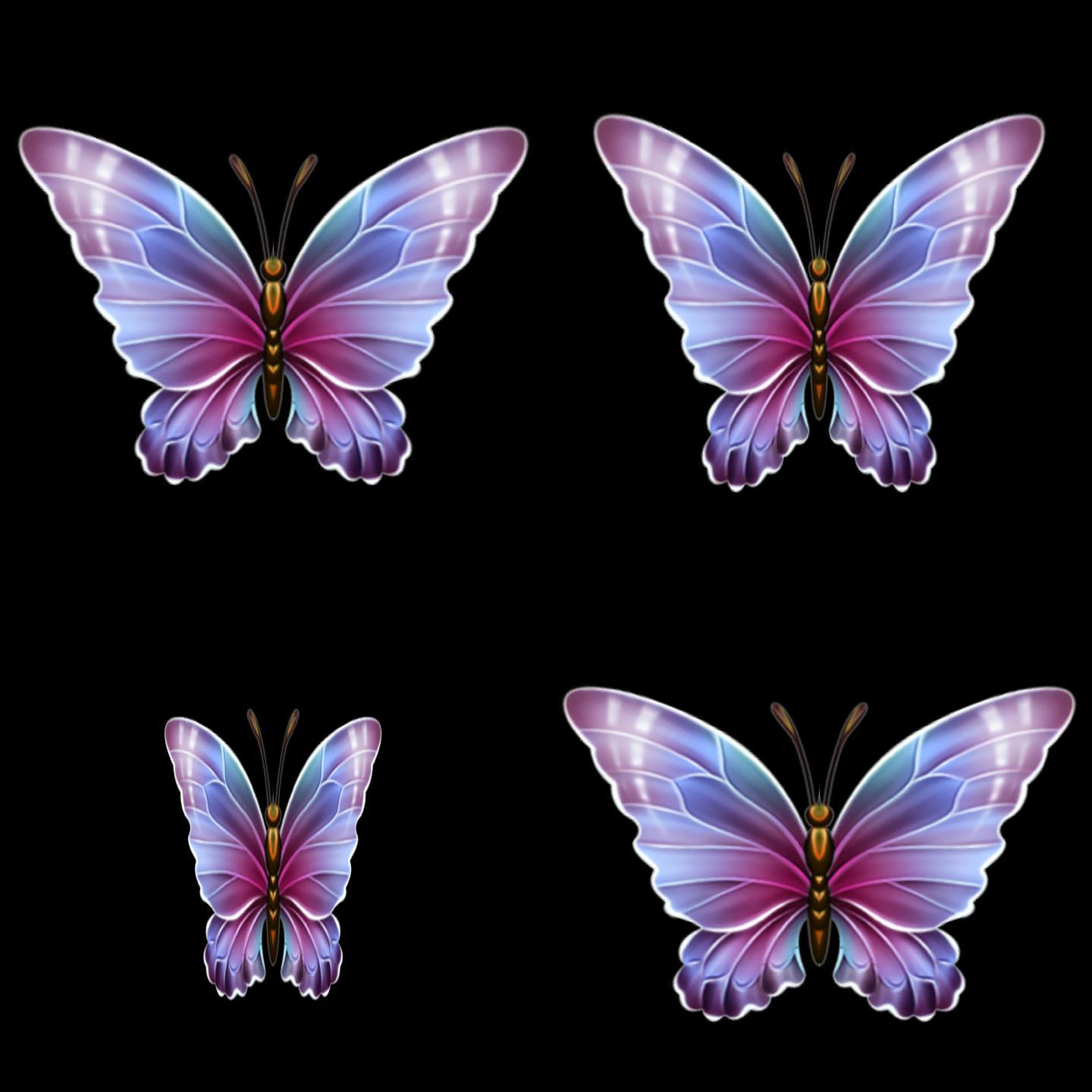蝴蝶艺术昆虫
