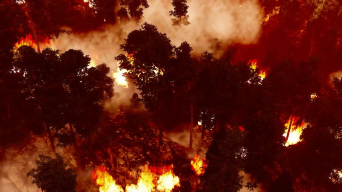 山林大火森林大火山火山林火灾灾害