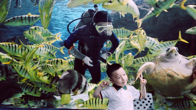 海底照相儿童摄影海龟鱼饲料喂鱼