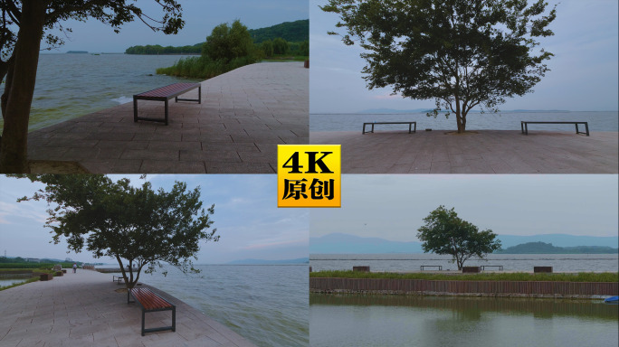 4K原创)湖边孤独的安静的小树和长椅