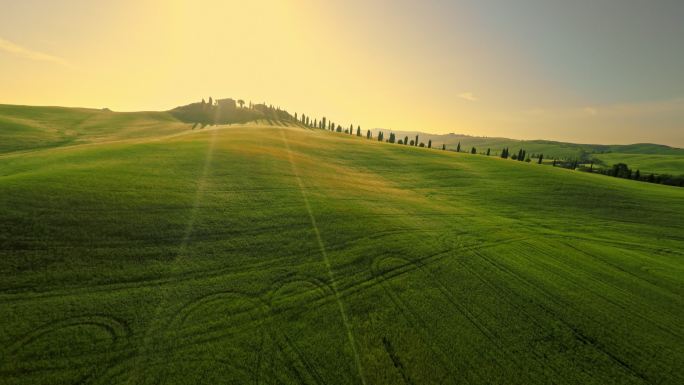 日落时的绿色麦田自然山小丘