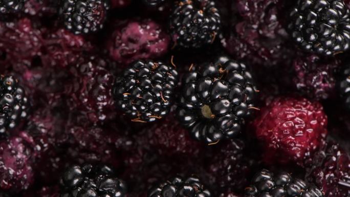 黑莓生命之果黑钻石营养果果园丰收