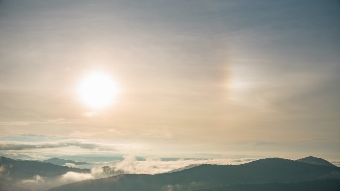 热带雨林的树，雾，太阳延时