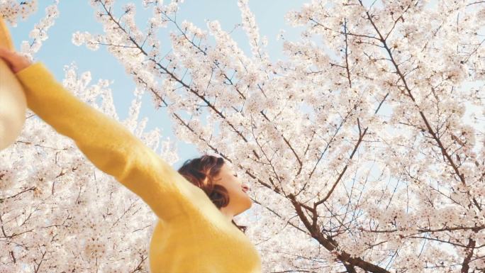一个女人在樱花树下展臂转圈