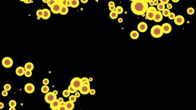 撒向日葵动画视频