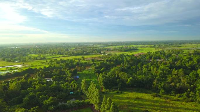 泰国稻田、河流和森林附近的乡村景观鸟瞰图