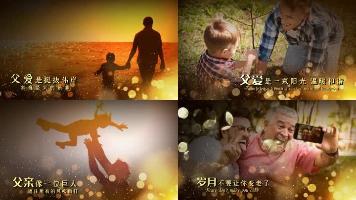 温馨感恩父亲节图文宣传展示会声会影模版