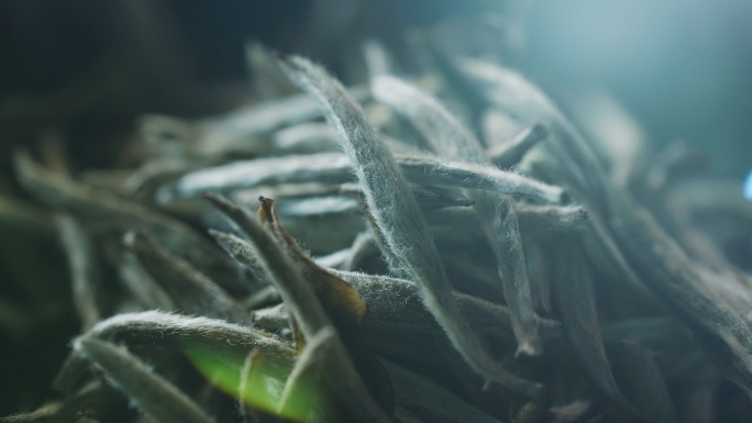 【原创可商用】白毫银针光影特写通用素材